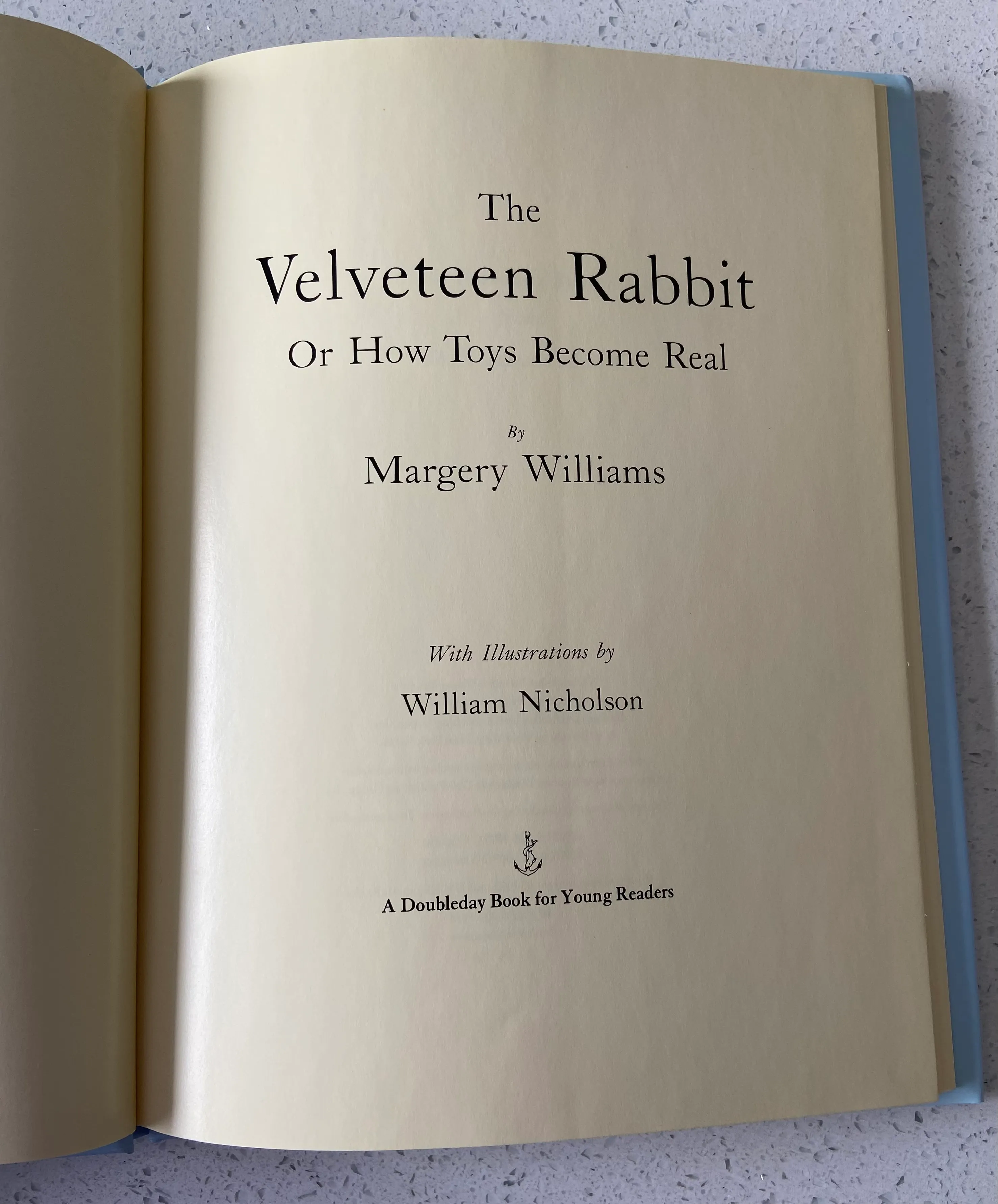 The Velveteen Rabbit - Image 3