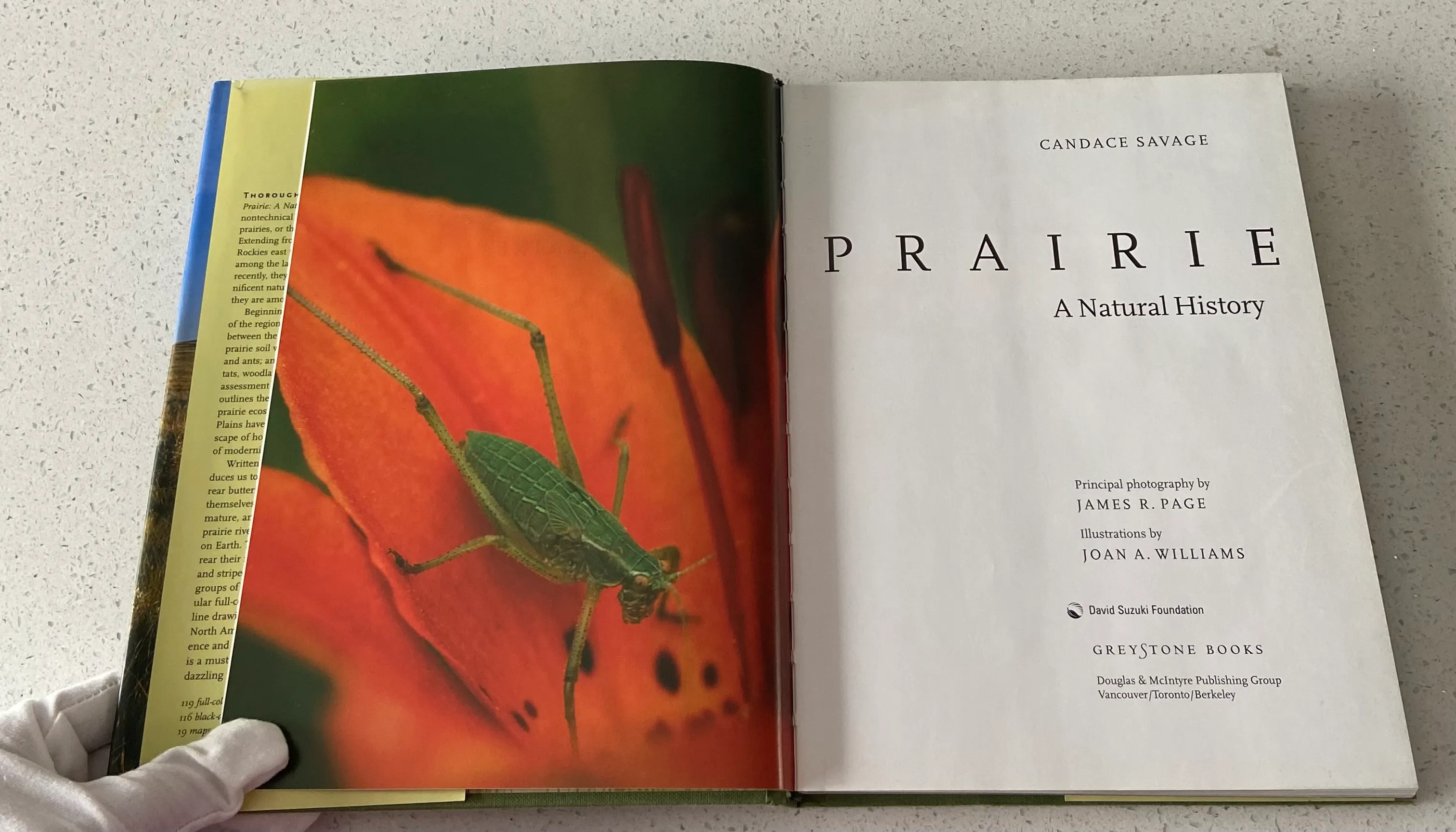 Prairie: A Natural History - Image 5