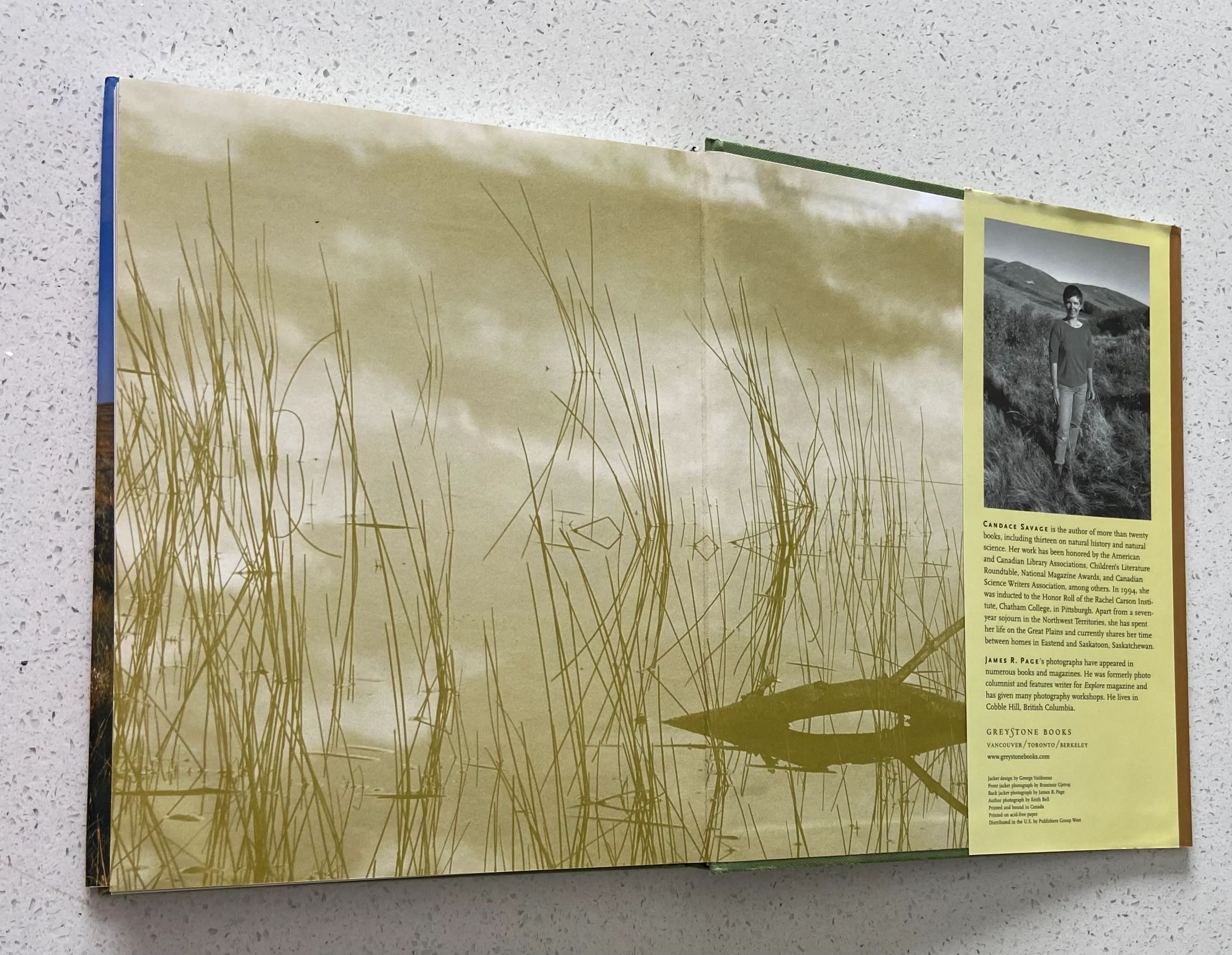 Prairie: A Natural History - Image 6