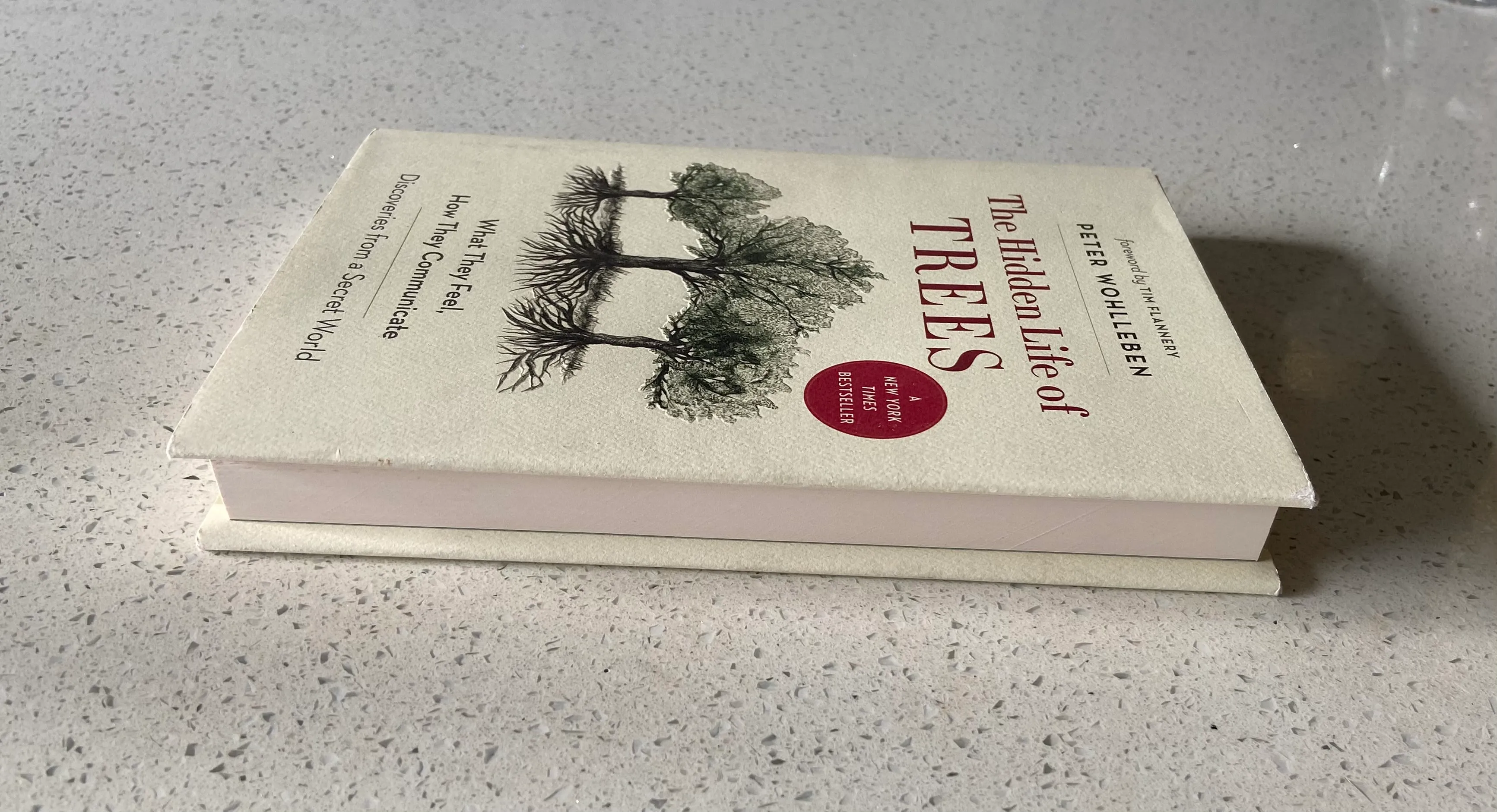 The Hidden Life of Trees: What They Feel, How They Communicate Discoveries from A Secret World - Image 2