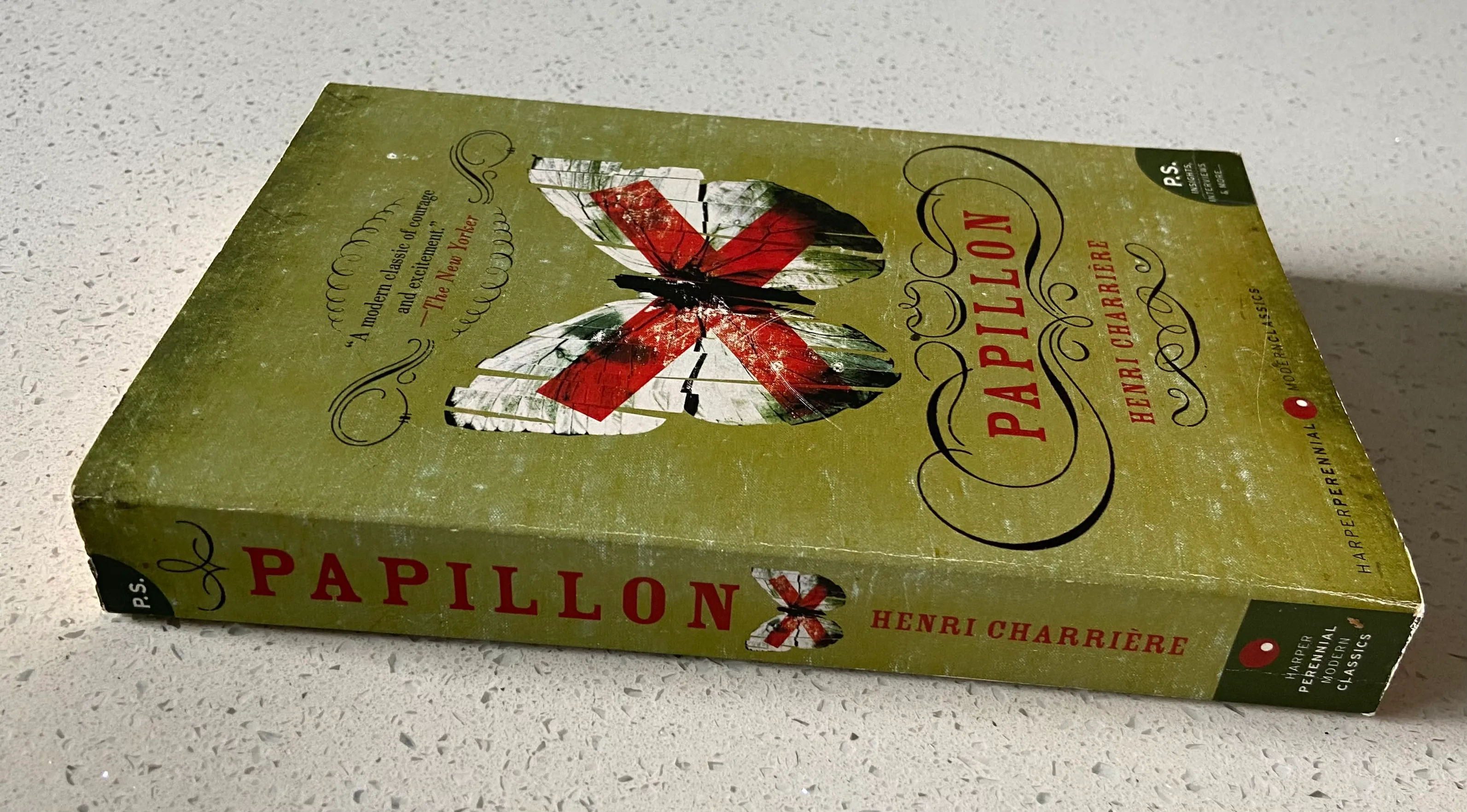 Papillon - Image 2