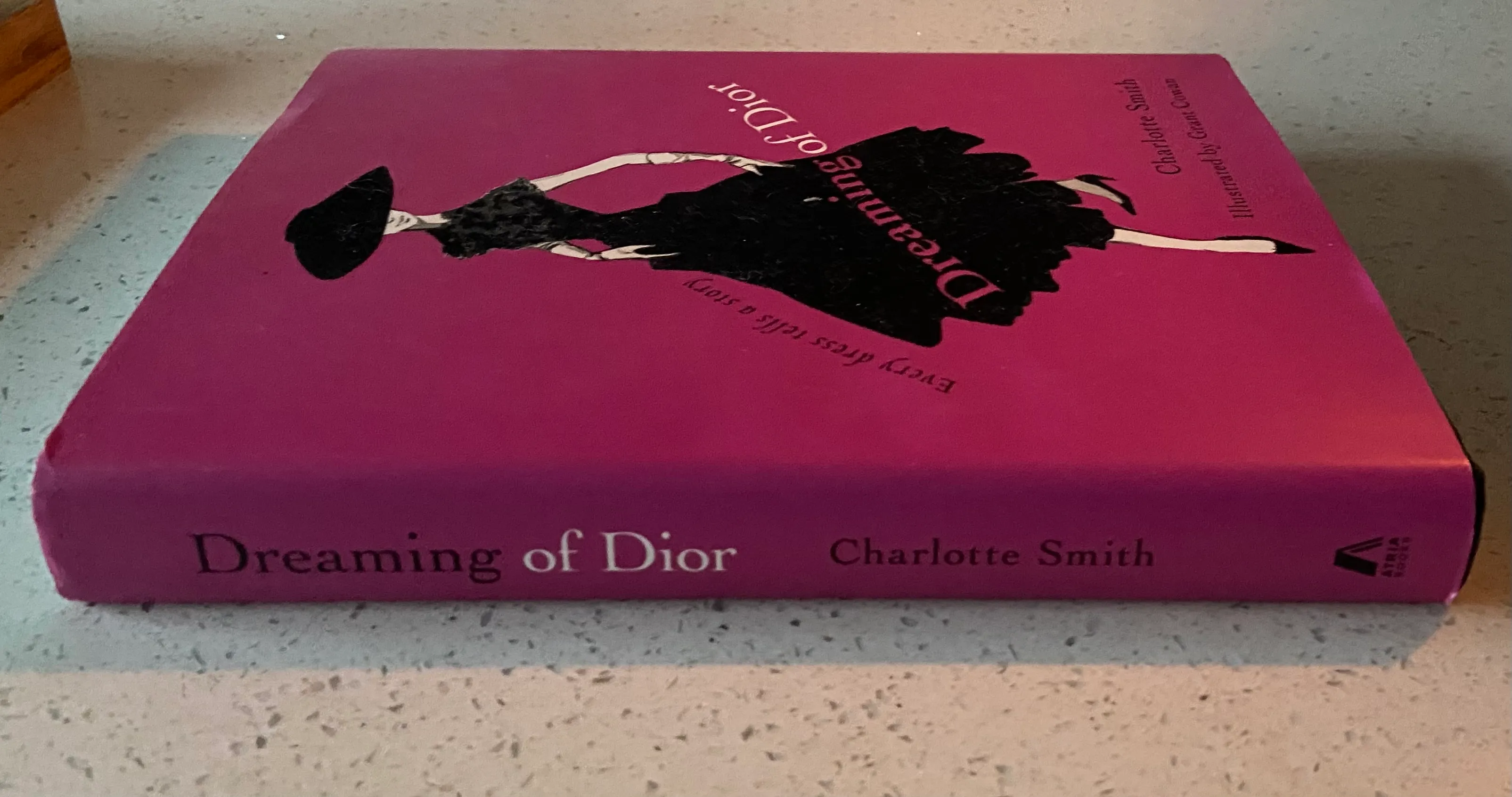 Dreaming of Dior Every Dress Tells a Story - Image 2