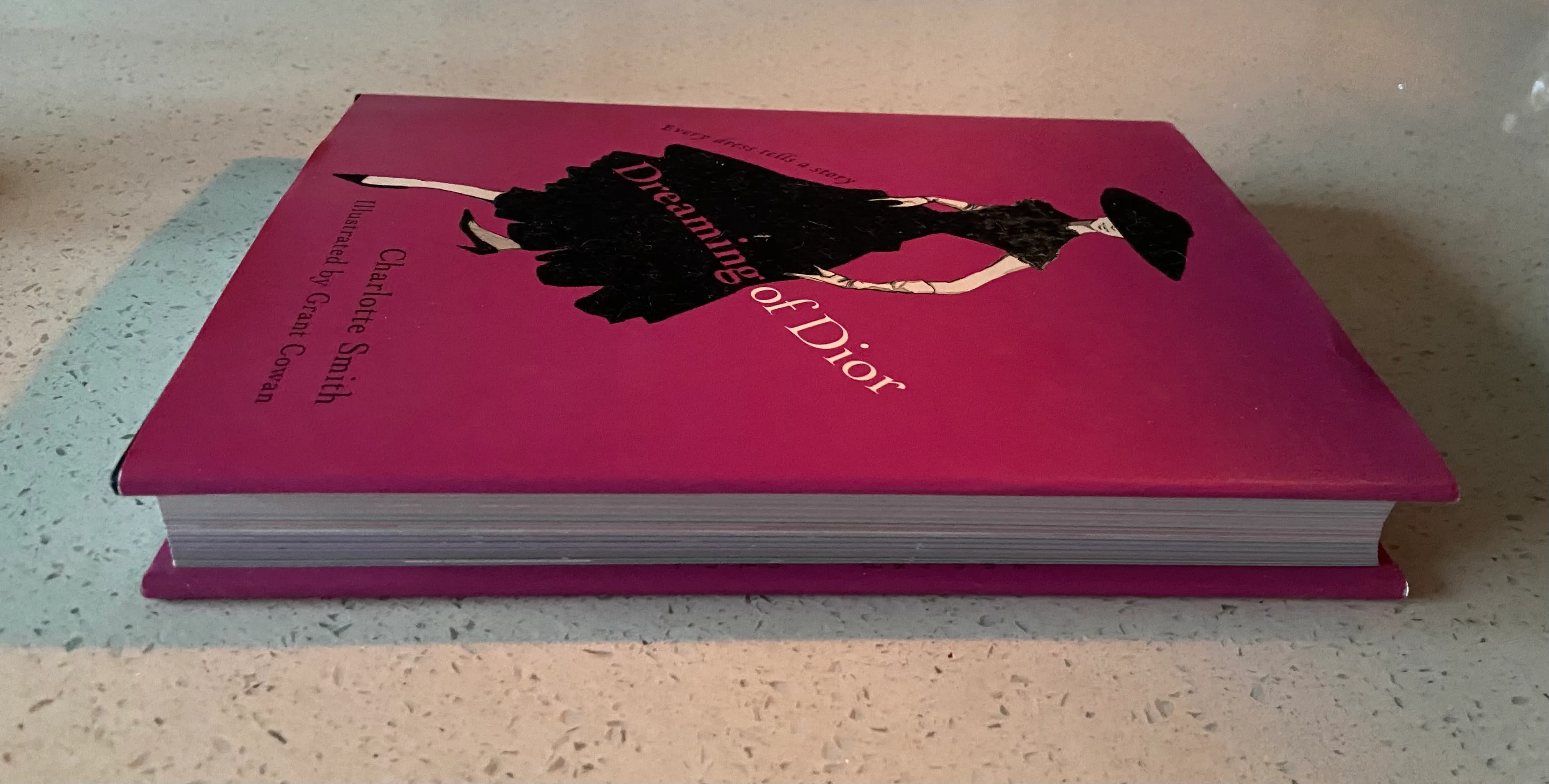 Dreaming of Dior Every Dress Tells a Story - Image 3
