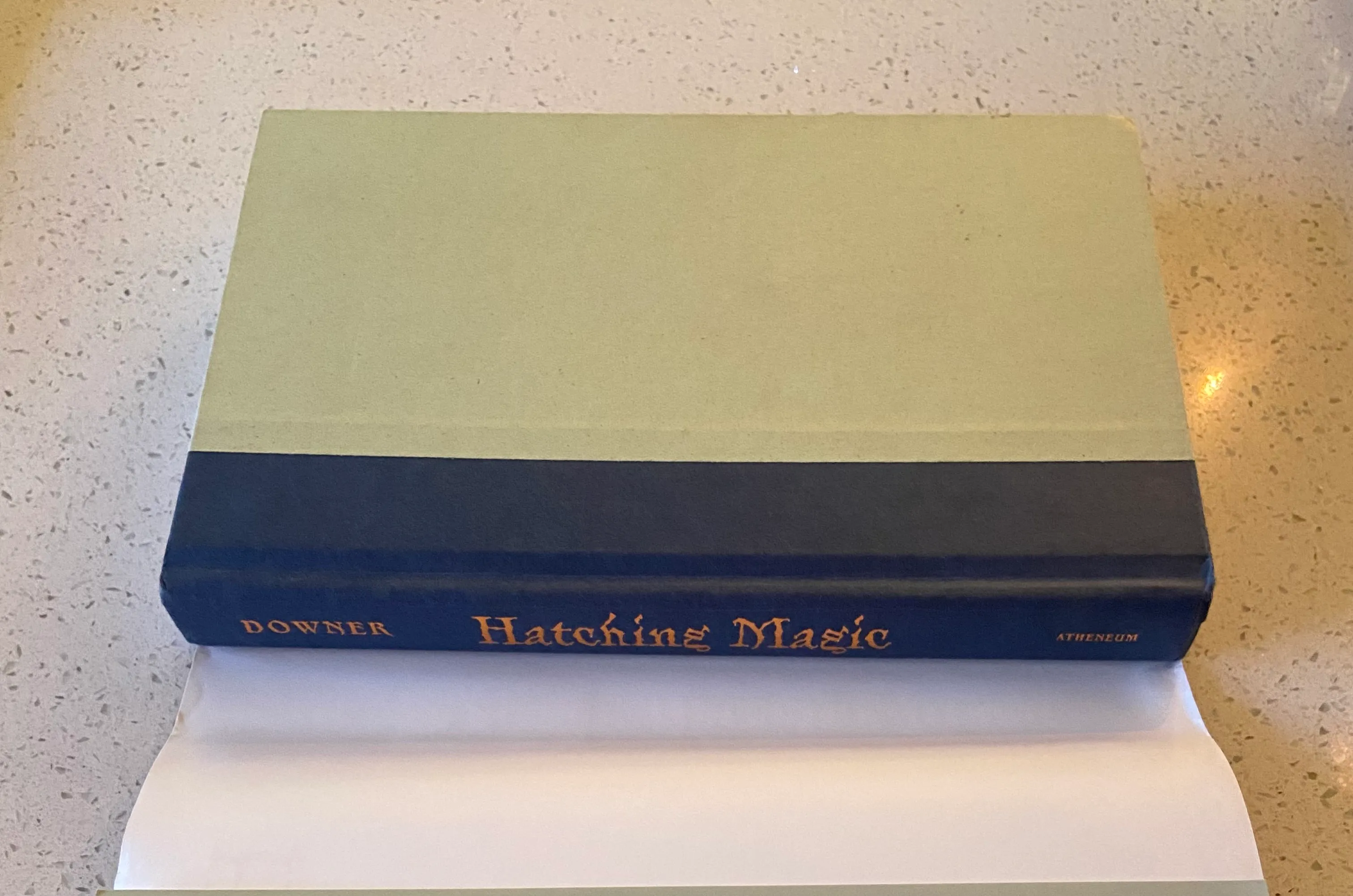 Hatching Magic - Image 6