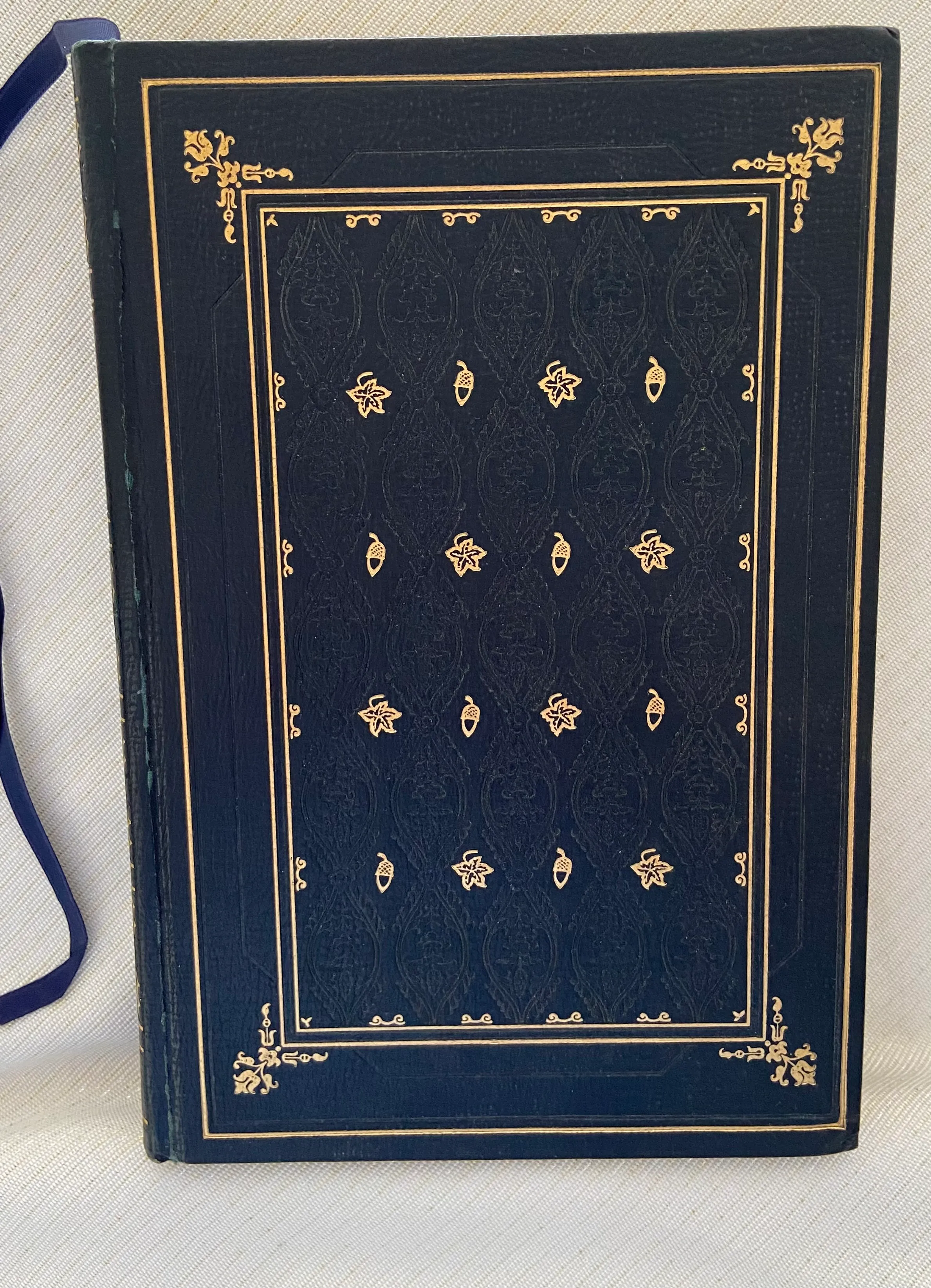 The Black Rose - Image 7