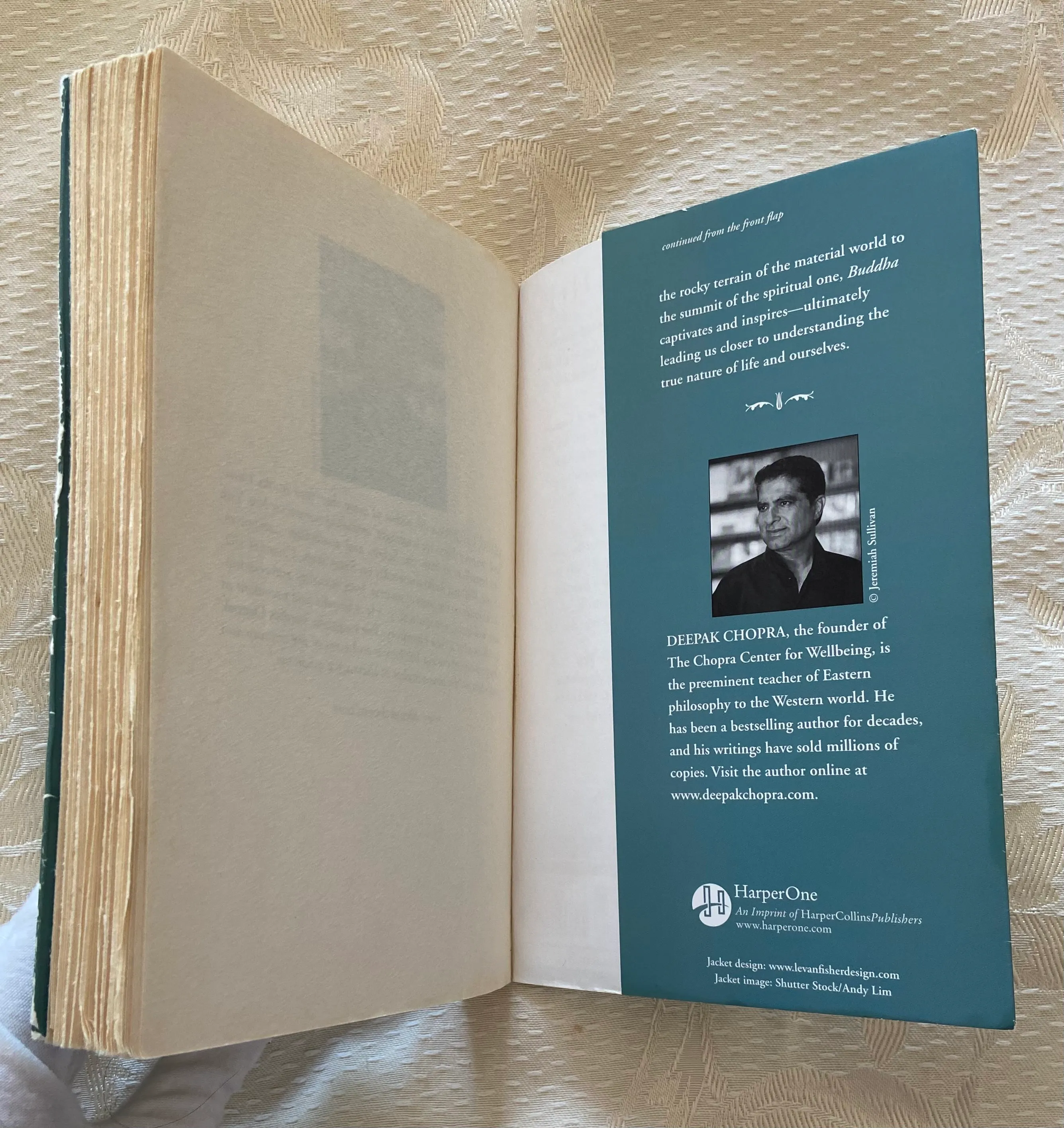 Buddha: A Story of Enlightenment - Image 3
