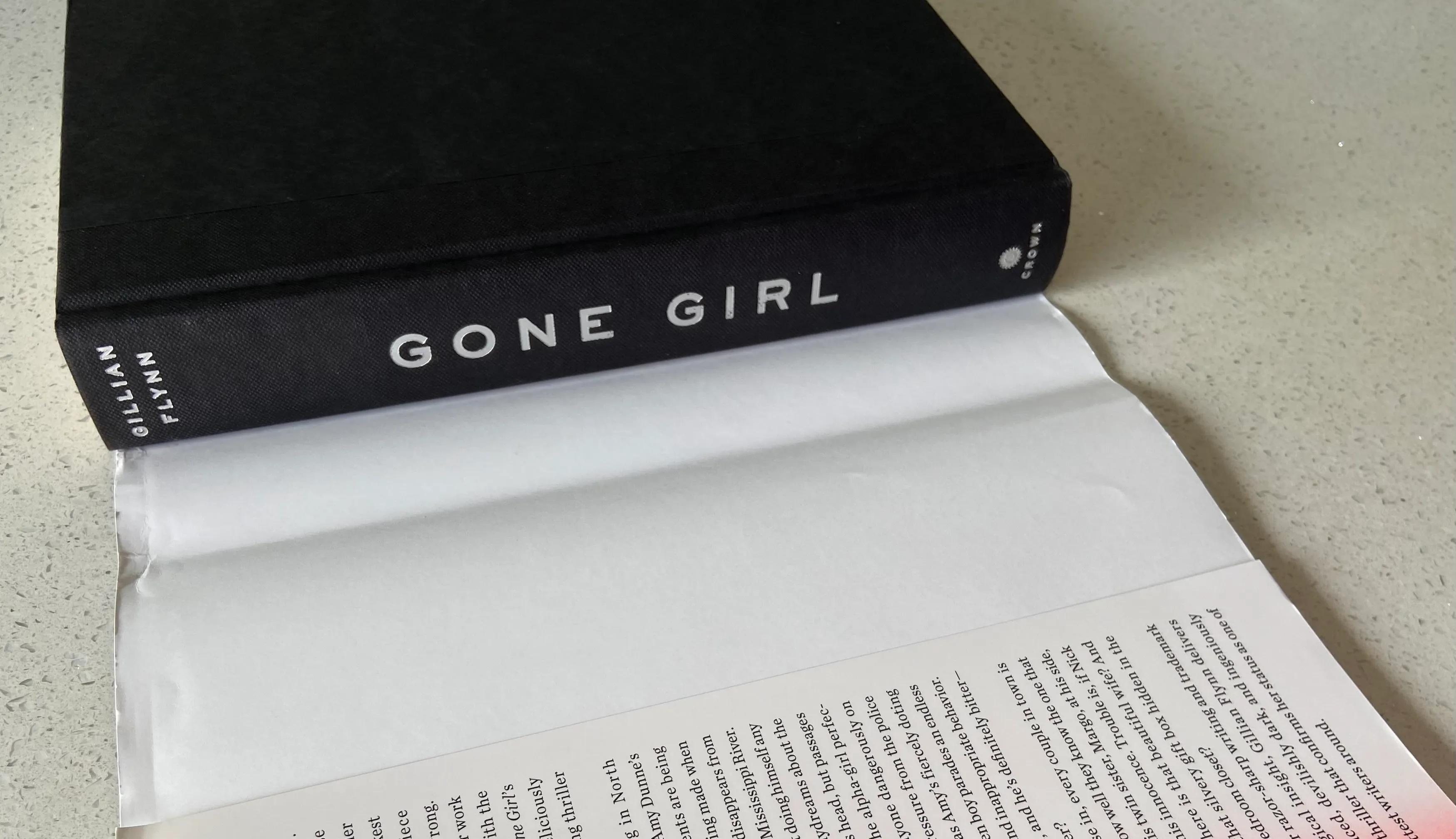 Gone Girl - Image 4
