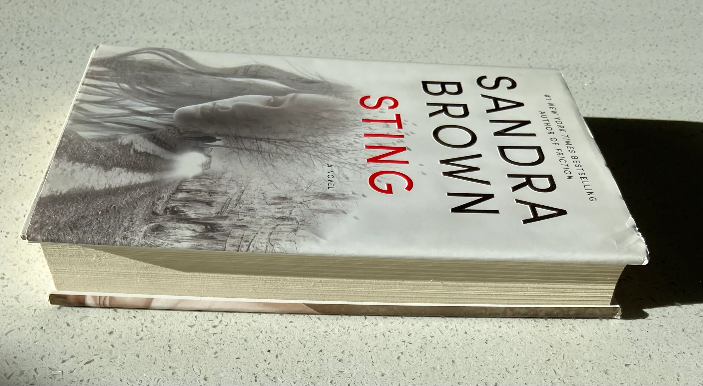 Sting - Image 2