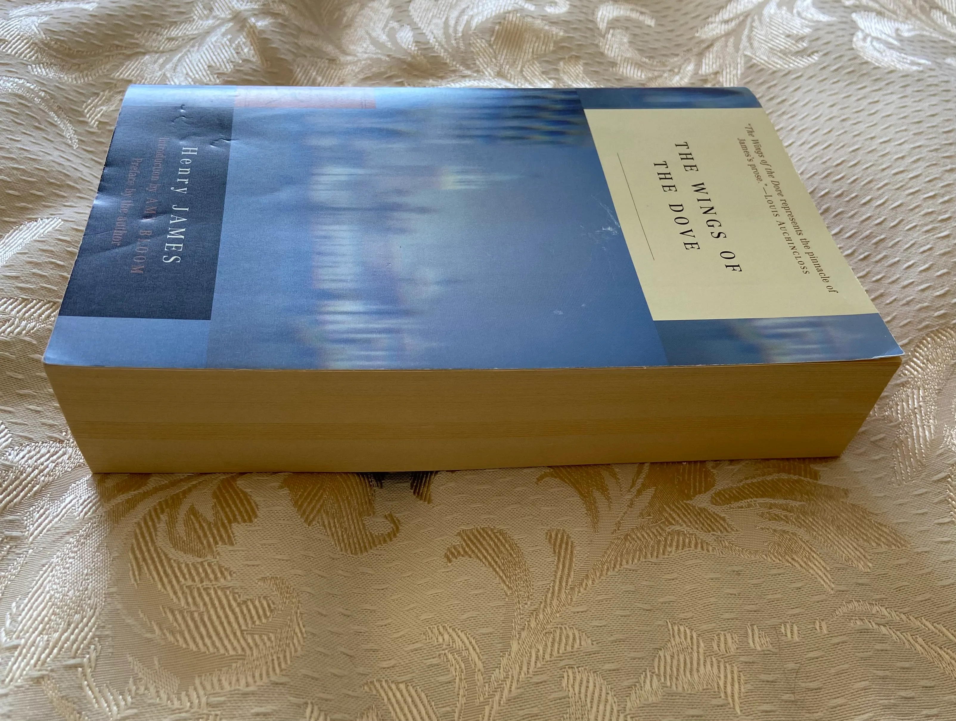 The Wings of the Dove (Modern Library 100 Best Novels) - Image 2