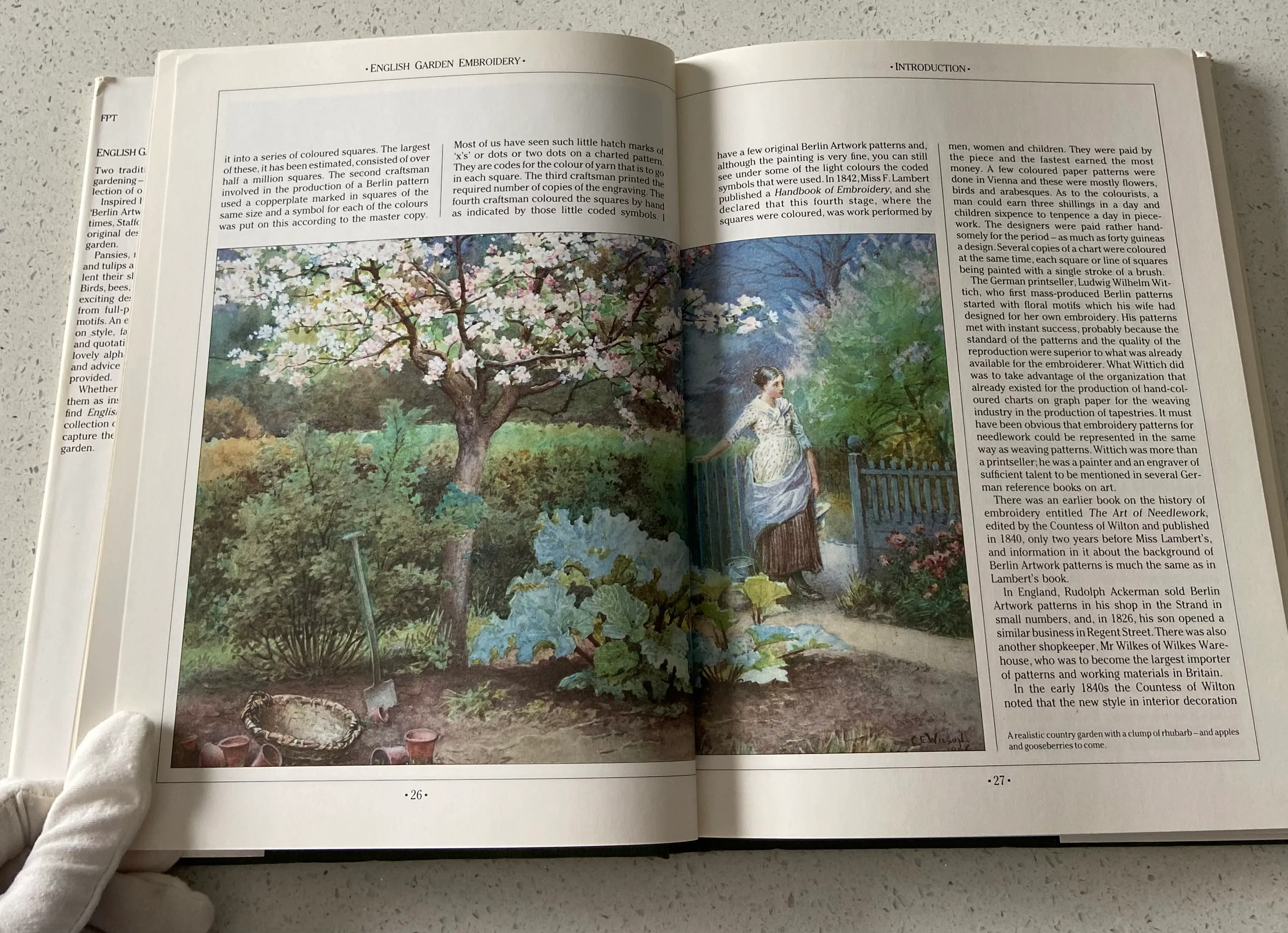English Garden Embroidery: 80 Original Needlepoint Designs of Flowers, Fruit, and Animals - Image 4