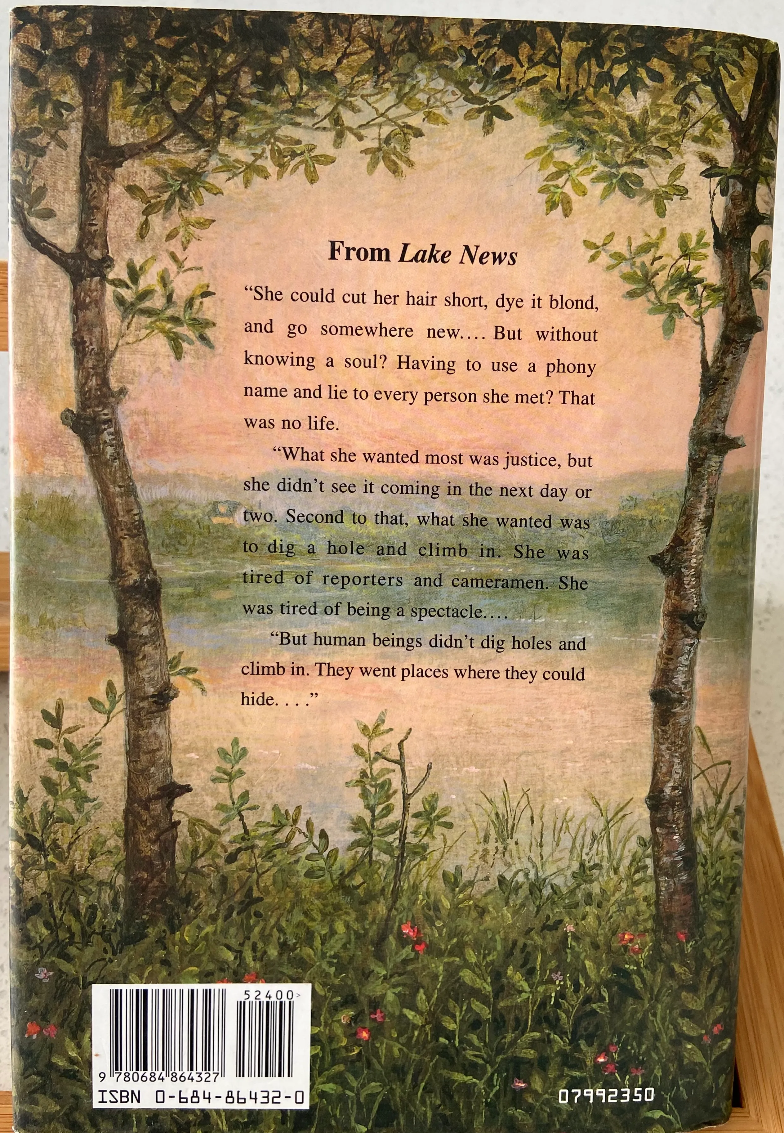 Lake News - Image 2