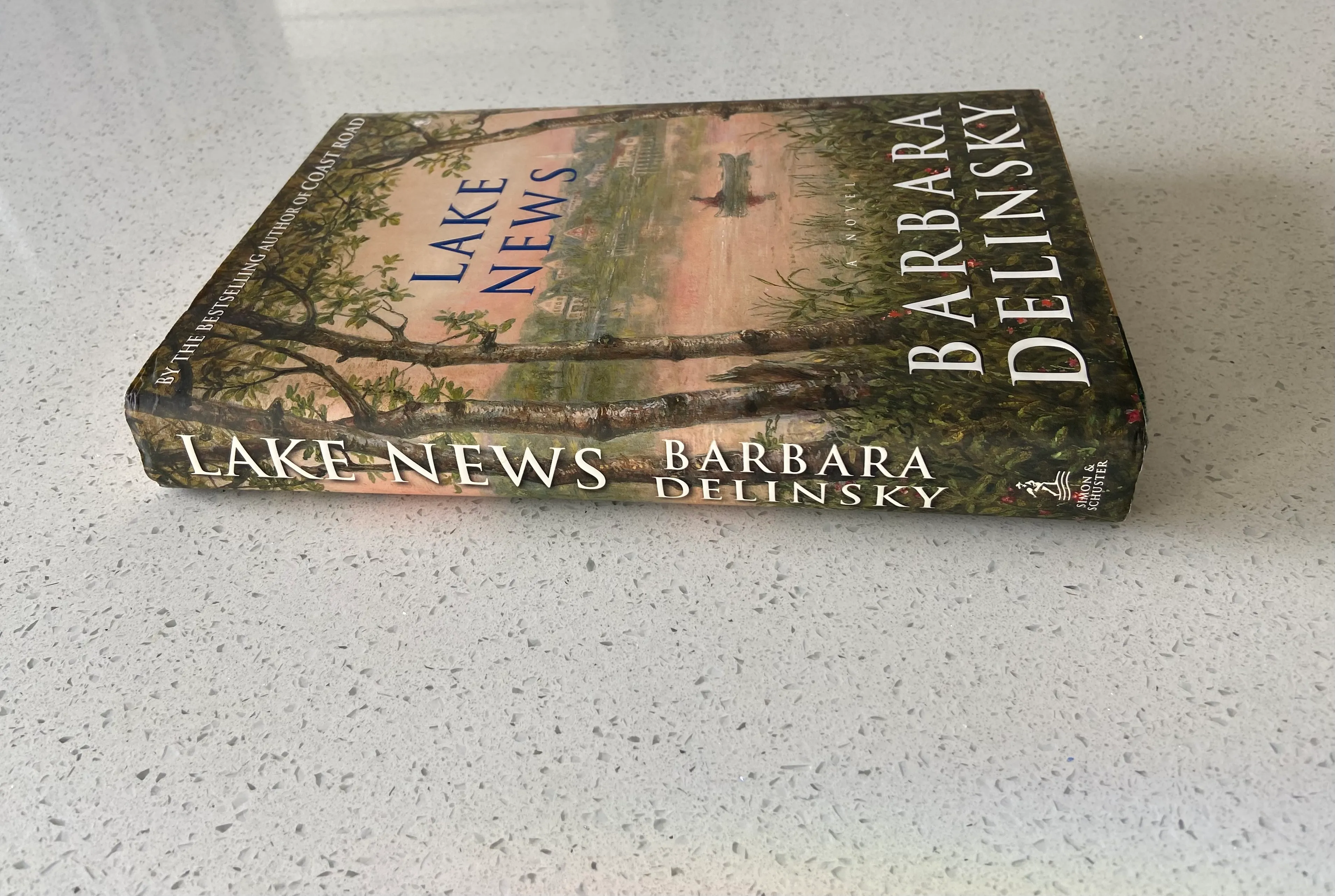 Lake News - Image 3