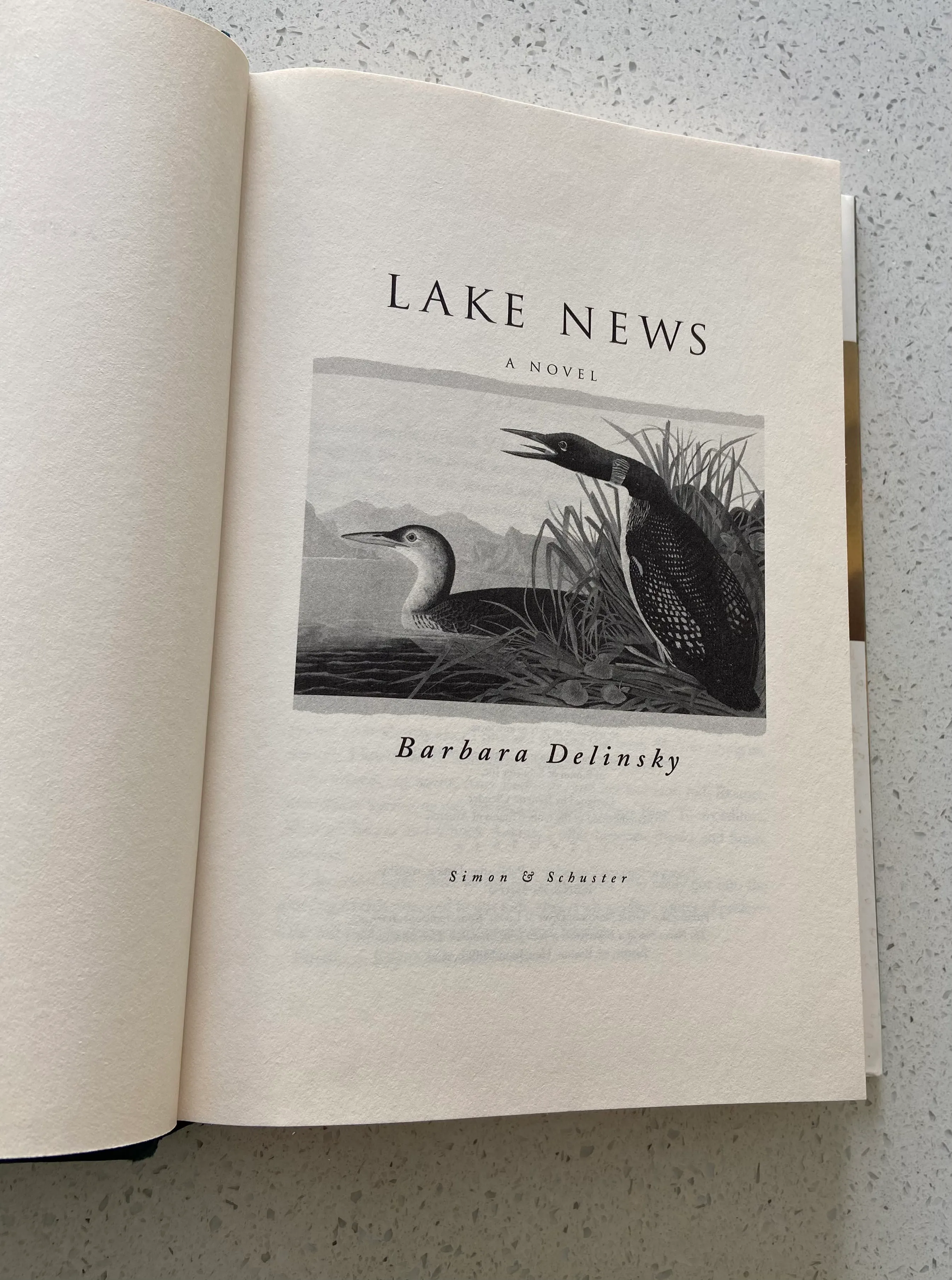 Lake News - Image 6