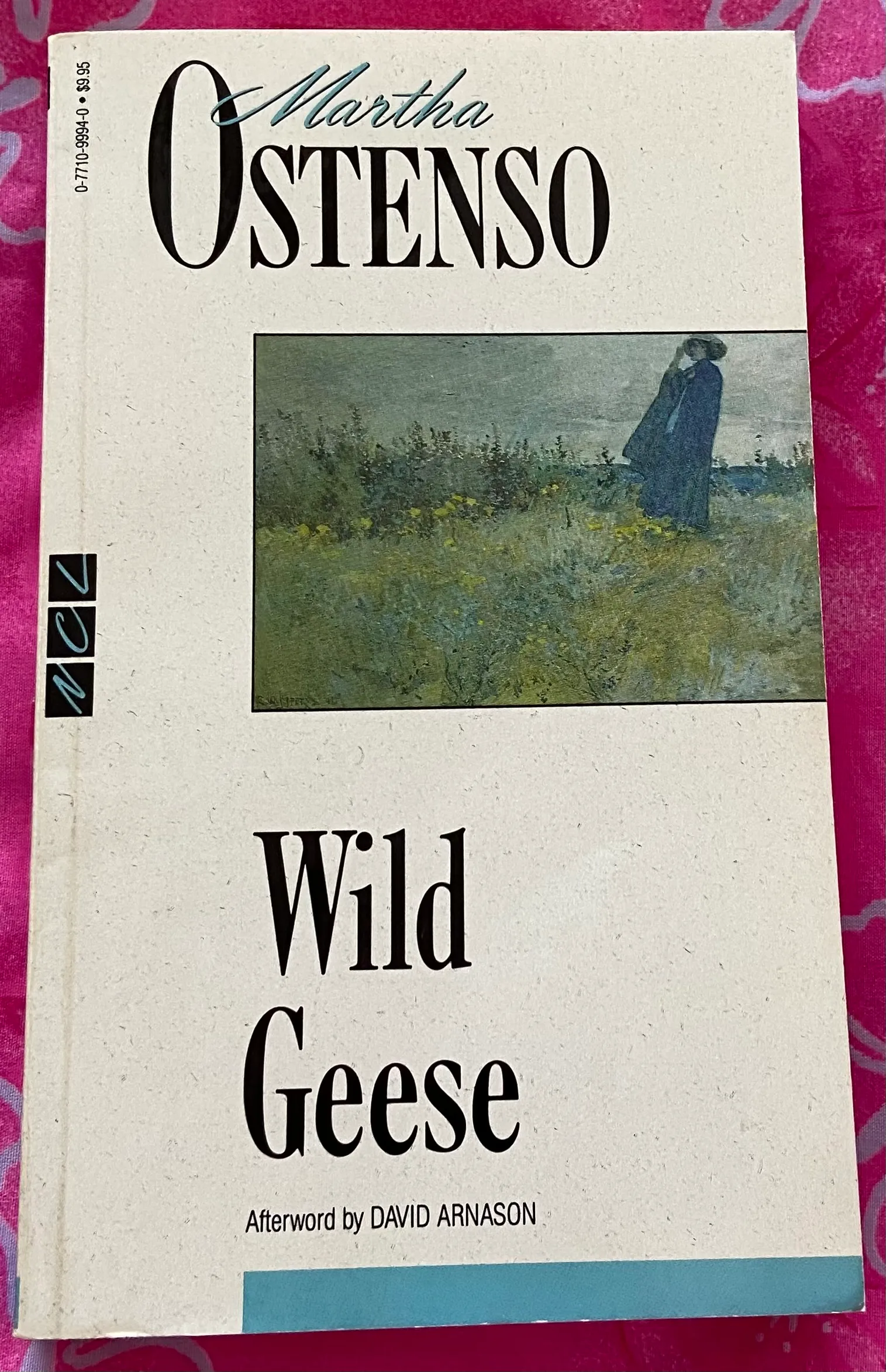 Wild Geese