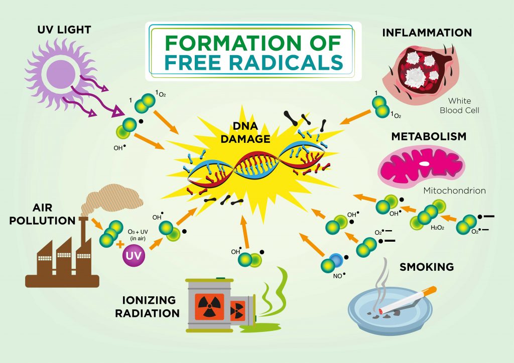 free-radicals