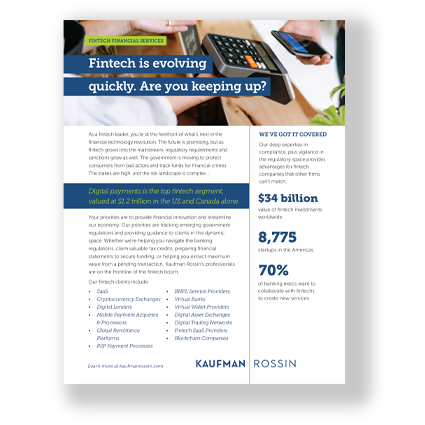 brochure of fintech industry services