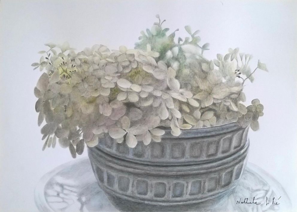 Hortensias - Nathalie Si Pié - Watercolour