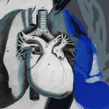 LN Le Cheviller - Coeur-anatomie