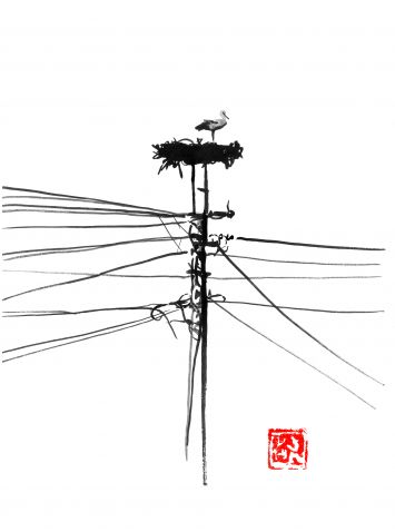Péchane - Storke's nest 