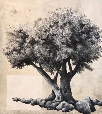 Cyrille Borgnet Dupont - Portrait d’arbre 17121309
