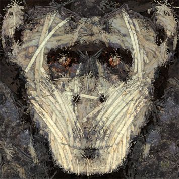 Erin-Durieu - Chimpanzé out of woods 1 