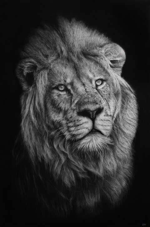 MagLM - Le roi lion