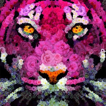 Tiger out of flowers 1 