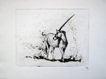 Benjamin Receveur - Oryx 