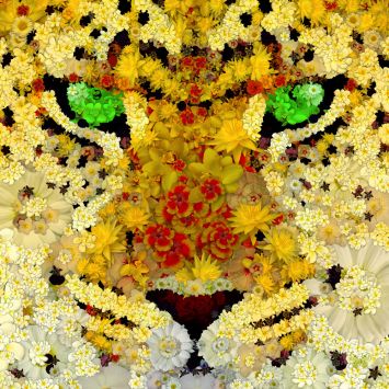 Leopard out of flowers 1 