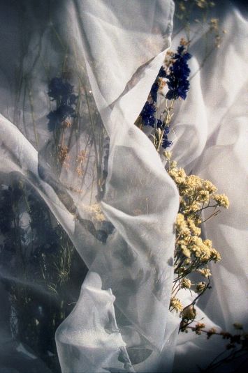 Chloé Coislier - Fleurs mortes 