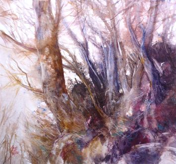 Anne Huet-Baron - Le rêve du bois des ombres