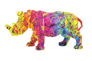 Rainbow rhino