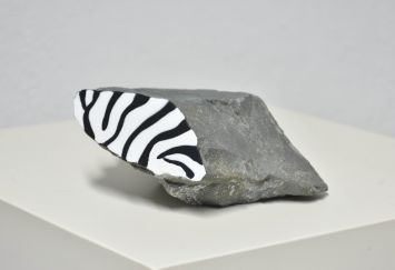 Fossilized zebra