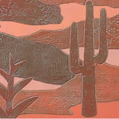 Clair de lune sur le désert d'Arizona. Tons cuivre et rose orangé