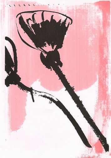 Lotus noir/rose
