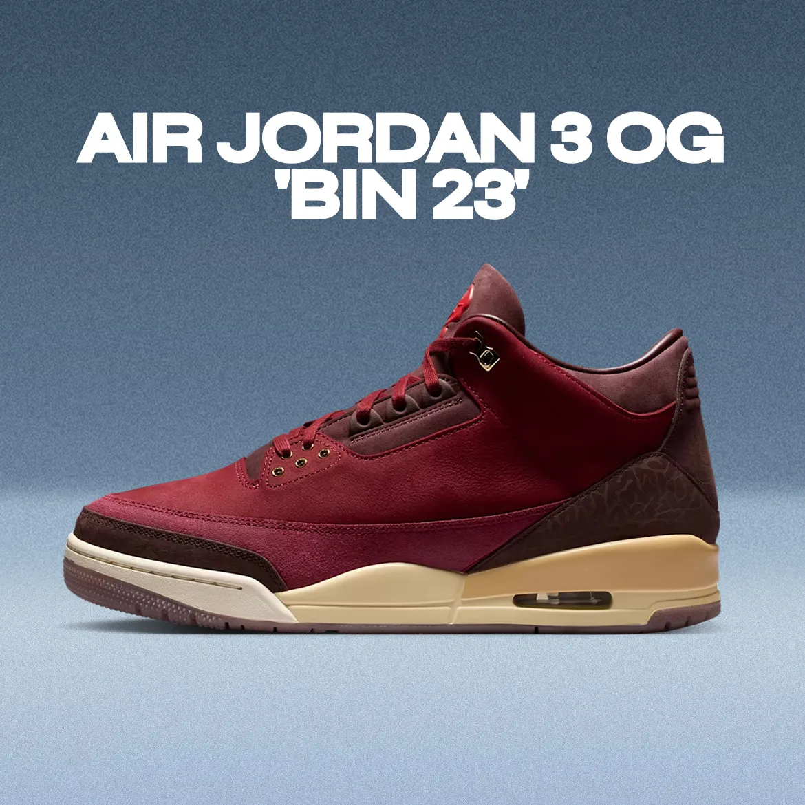 Air Jordan 3 'Bin23'