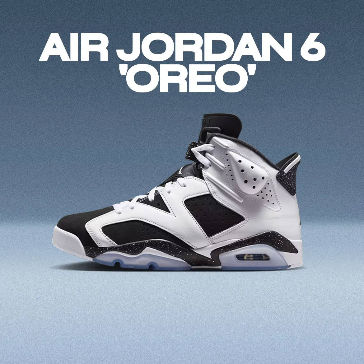 Air Jordan 6 'Oreo'