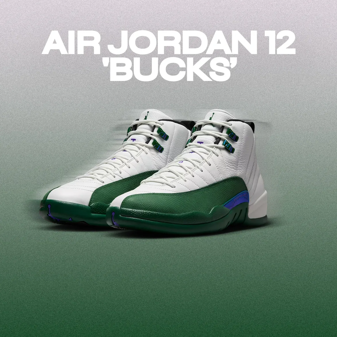 Air Jordan 12 'Bucks'