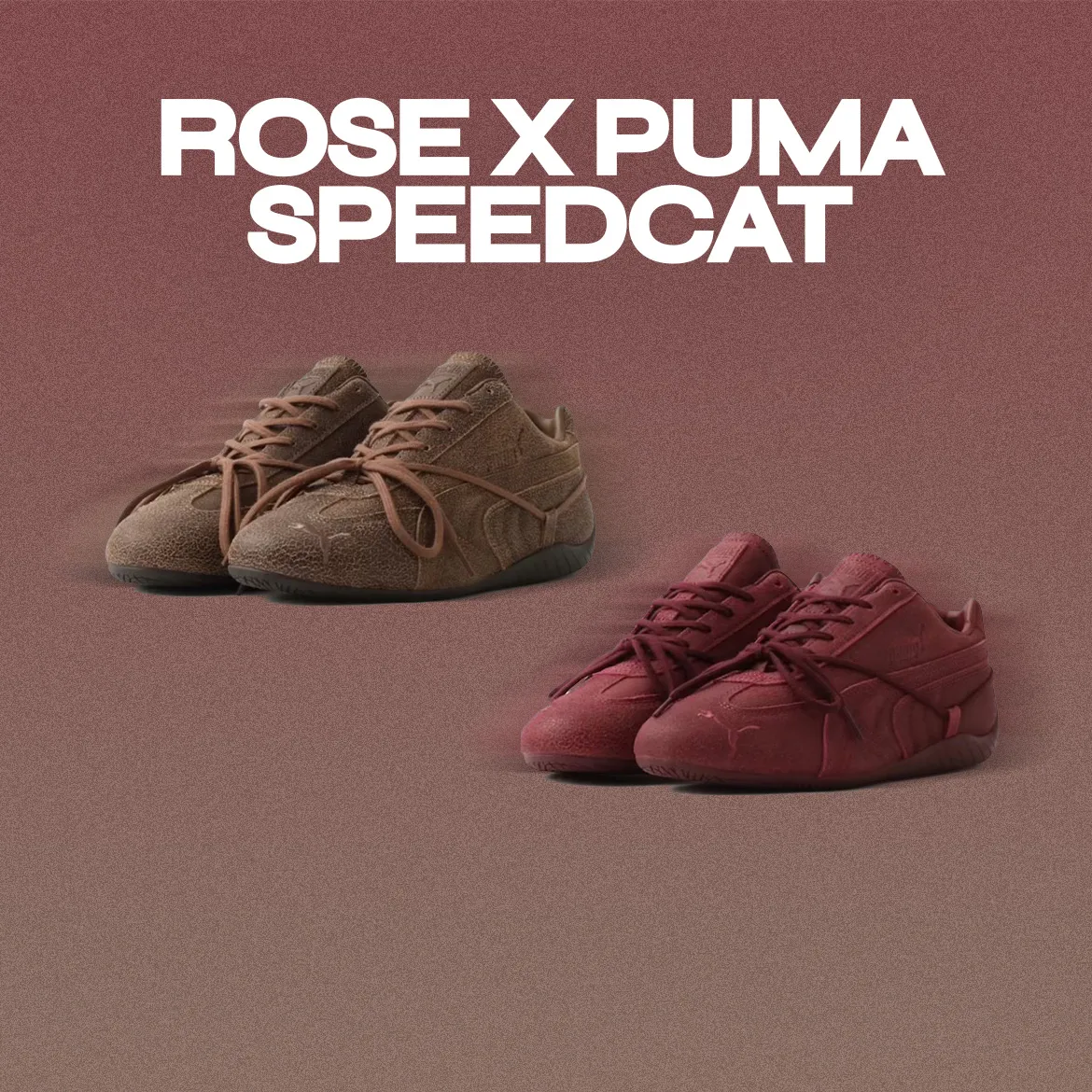 Rose Puma