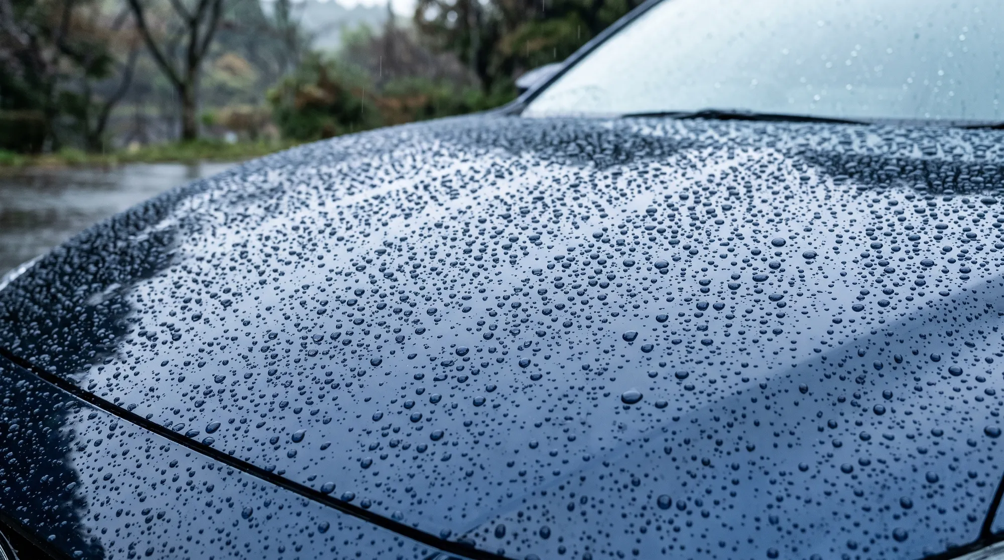 コーティングが施されたネイビーブルーの車のボンネットに、細かな雨粒が美しい球体となって弾く様子。自然光の中で水滴が透明感のある艶を放つクローズアップ。