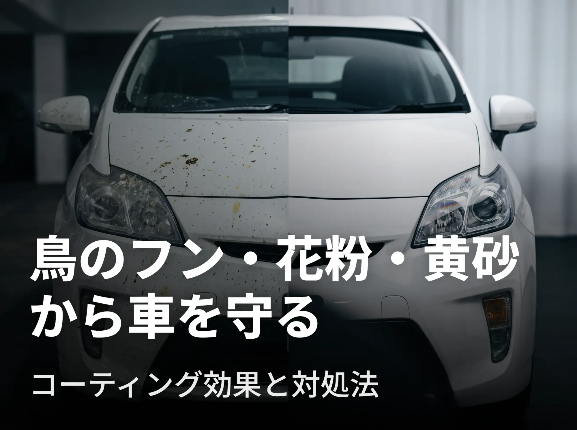 鳥のフン・花粉・黄砂から車を守る｜コーティング効果と対処法