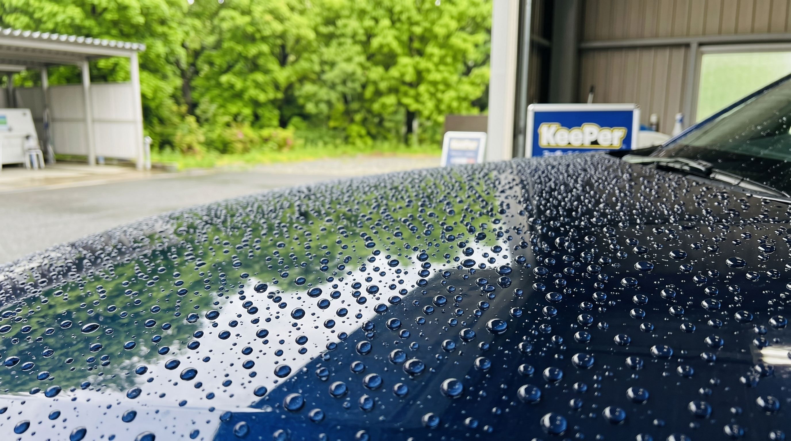 雨上がりのダークブルーの車のボンネットに美しい水玉が並ぶ様子を捉えた写真。コーティングの優れた撥水効果により、球状になった水滴のディテールが際立つシーンです。