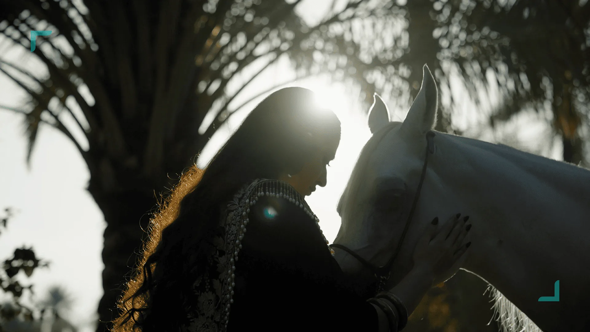 Sumer Arabian Horses Festival