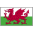 Welsh flag icon