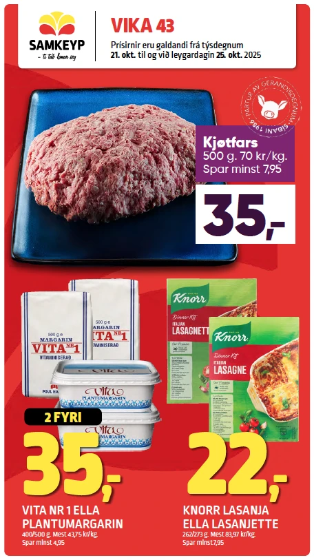 Vika 43
