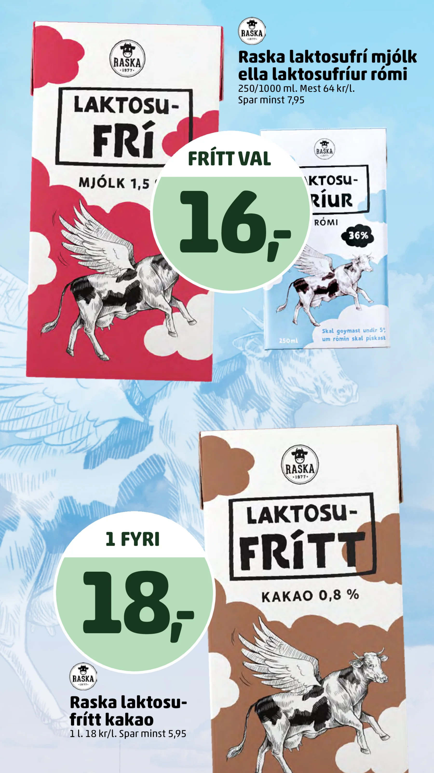 Síða 6