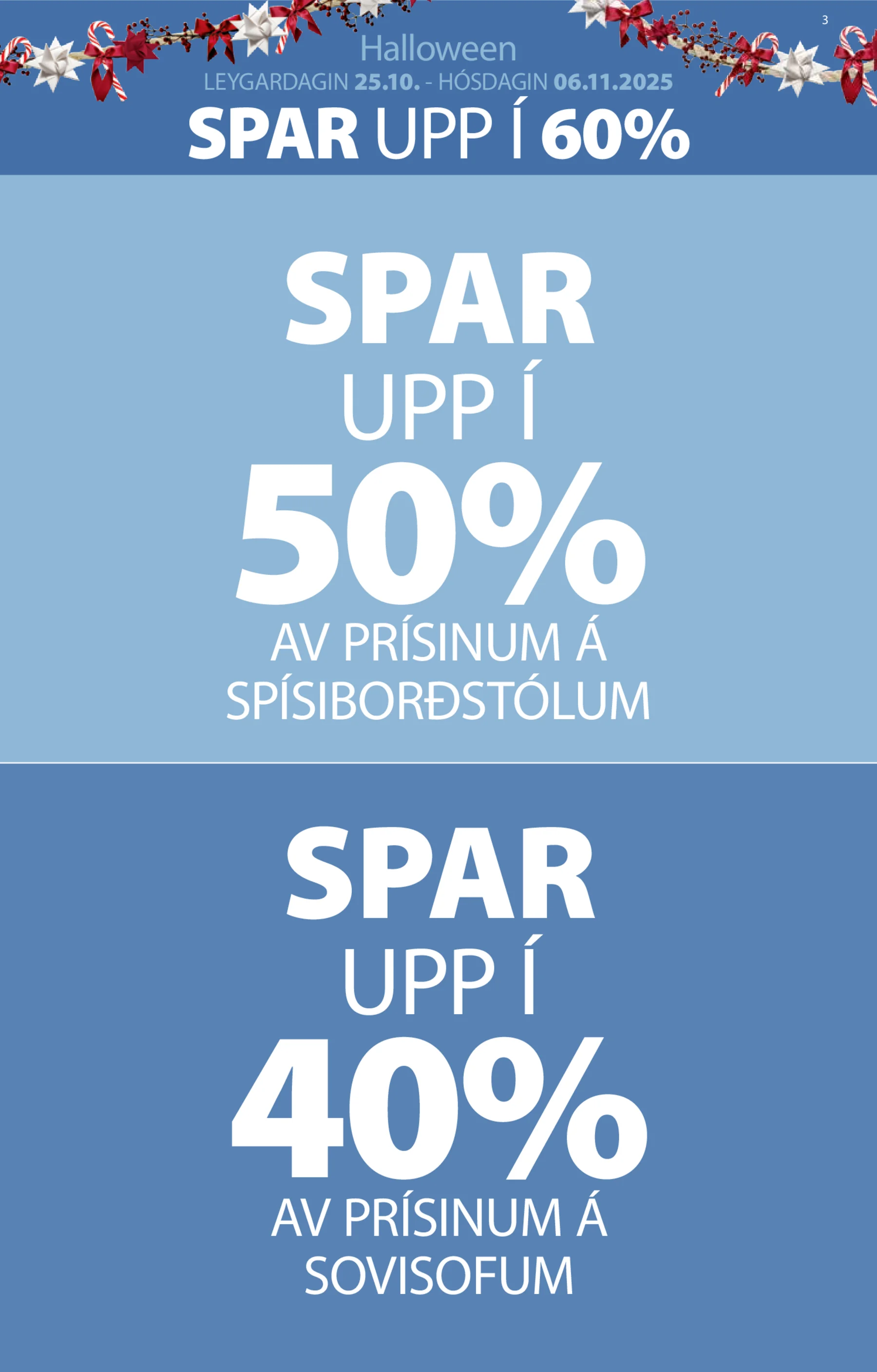 Síða 3