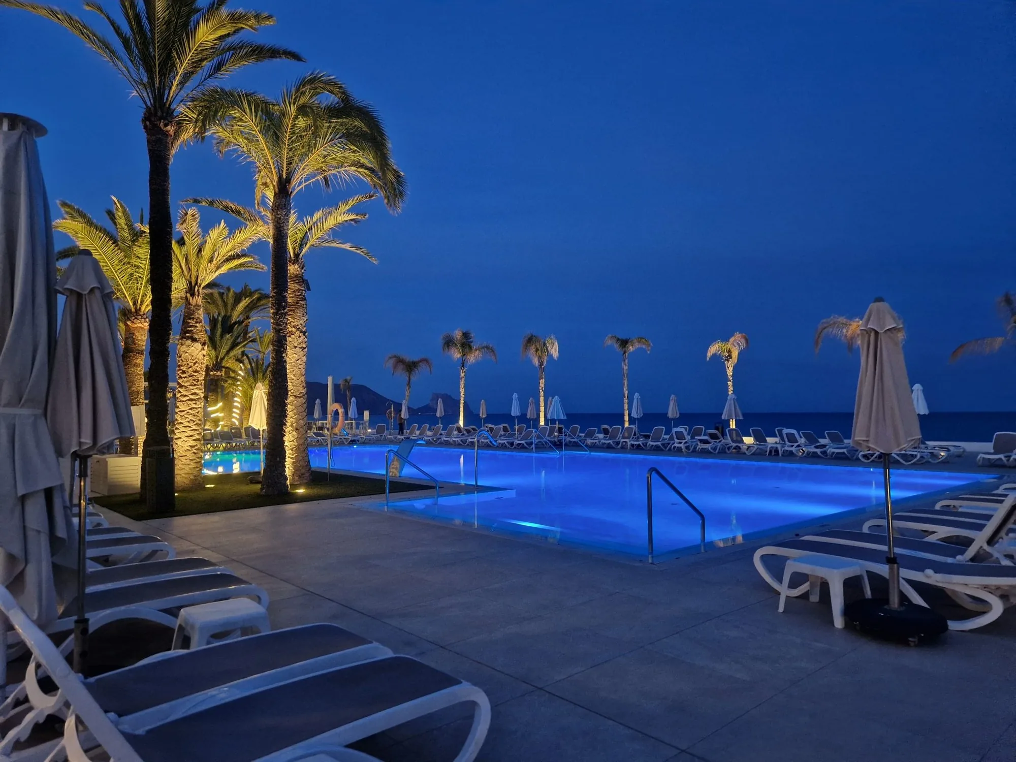A quiet resort swimming pool fringed with palms in the evening
