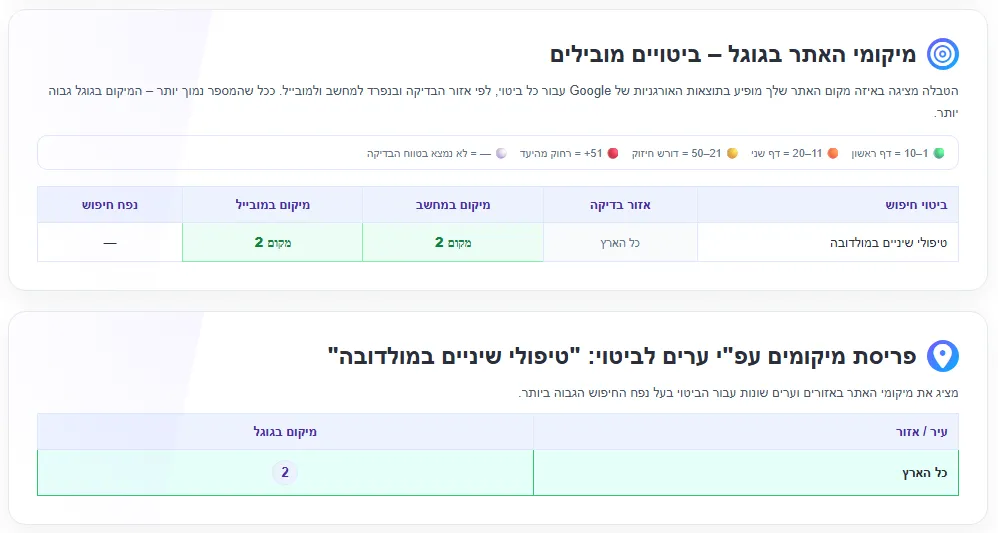 דוח קידום אתרים