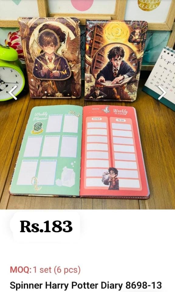 Spinner Harry Potter Diary